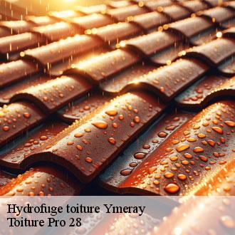 Hydrofuge toiture  ymeray-28320 Toiture Pro 28