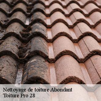 Nettoyage de toiture  abondant-28570 Toiture Pro 28
