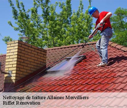 Nettoyage de toiture  allaines-mervilliers-28310 Nettoyage et Traitement 28