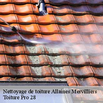 Nettoyage de toiture  allaines-mervilliers-28310 Toiture Pro 28