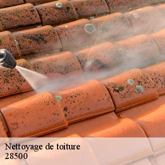 Nettoyage de toiture aunay-sous-crecy-28500 Toiture Pro 28