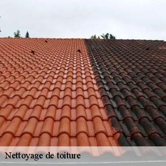 Nettoyage de toiture  bercheres-sur-vesgre-28560 Toiture Pro 28
