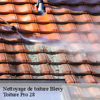 Nettoyage de toiture  blevy-28170 Toiture Pro 28
