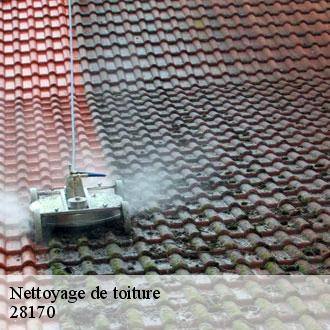 Nettoyage de toiture  boullay-les-deux-eglises-28170 Toiture Pro 28