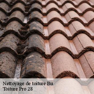 Nettoyage de toiture  bu-28410 Toiture Pro 28