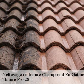 Nettoyage de toiture  champrond-en-gatine-28240 Toiture Pro 28