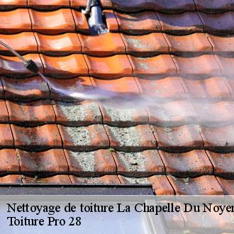 Nettoyage de toiture  la-chapelle-du-noyer-28200 Toiture Pro 28
