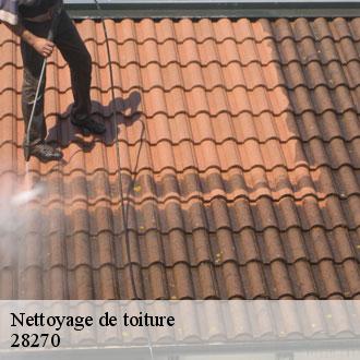Nettoyage de toiture chataincourt-28270 Toiture Pro 28