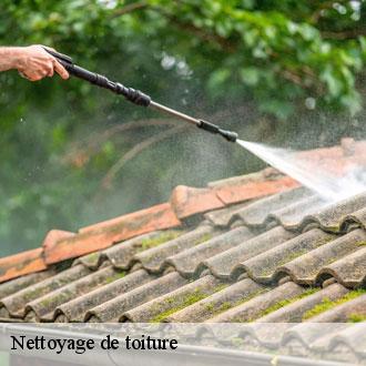 Nettoyage de toiture chataincourt-28270 Toiture Pro 28