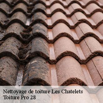 Nettoyage de toiture  les-chatelets-28270 Toiture Pro 28