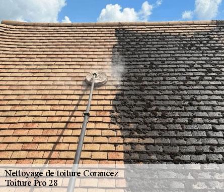 Nettoyage de toiture  corancez-28630 Toiture Pro 28