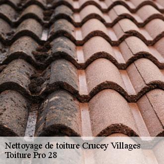 Nettoyage de toiture crucey-villages-28270 Toiture Pro 28
