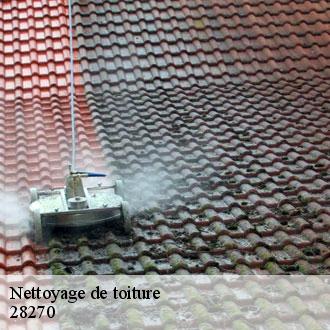 Nettoyage de toiture crucey-villages-28270 Toiture Pro 28