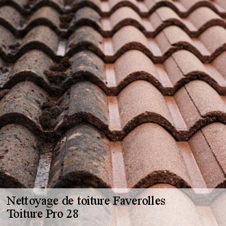 Nettoyage de toiture  faverolles-28210 Toiture Pro 28