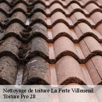Nettoyage de toiture  la-ferte-villeneuil-28220 Toiture Pro 28