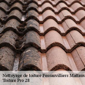 Nettoyage de toiture  fessanvilliers-mattanvill-28270 Toiture Pro 28