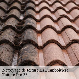 Nettoyage de toiture la-framboisiere-28250 Toiture Pro 28