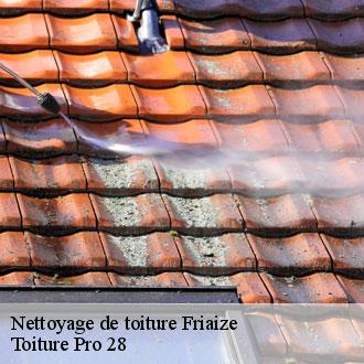 Nettoyage de toiture  friaize-28240 Toiture Pro 28