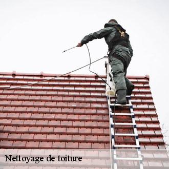 Nettoyage de toiture  garancieres-en-beauce-28700 Toiture Pro 28