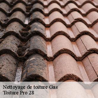 Nettoyage de toiture  gas-28320 Toiture Pro 28