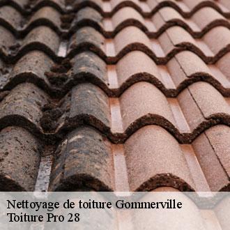 Nettoyage de toiture  gommerville-28310 Toiture Pro 28