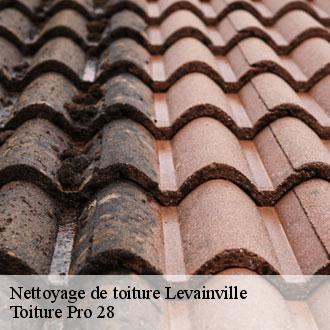 Nettoyage de toiture  levainville-28700 Toiture Pro 28