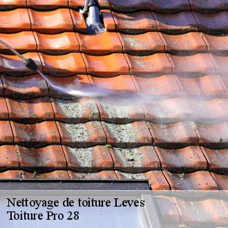 Nettoyage de toiture  leves-28300 Toiture Pro 28