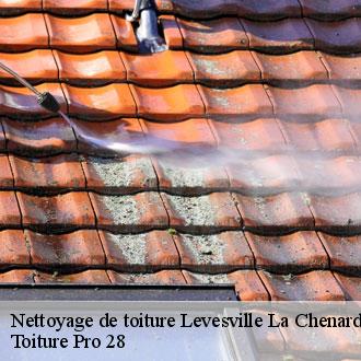 Nettoyage de toiture  levesville-la-chenard-28310 Toiture Pro 28
