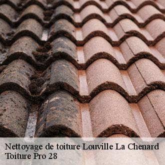 Nettoyage de toiture louville-la-chenard-28150 Toiture Pro 28