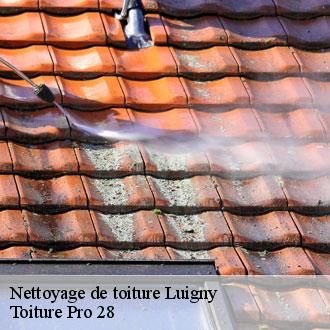 Nettoyage de toiture  luigny-28420 Toiture Pro 28
