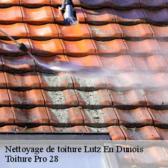 Nettoyage de toiture  lutz-en-dunois-28200 Toiture Pro 28