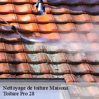 Nettoyage de toiture  maisons-28700 Toiture Pro 28