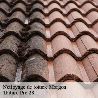 Nettoyage de toiture margon-28400 Toiture Pro 28