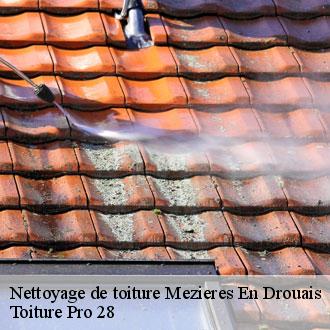 Nettoyage de toiture  mezieres-en-drouais-28500 Toiture Pro 28
