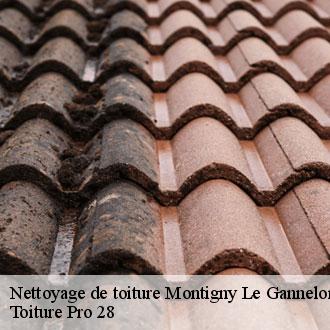 Nettoyage de toiture  montigny-le-gannelon-28220 Toiture Pro 28