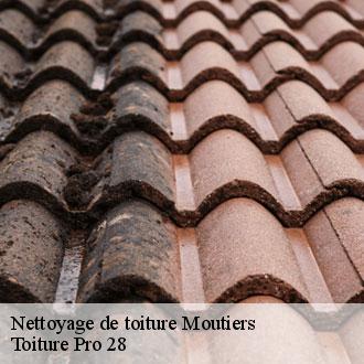 Nettoyage de toiture  moutiers-28150 Toiture Pro 28