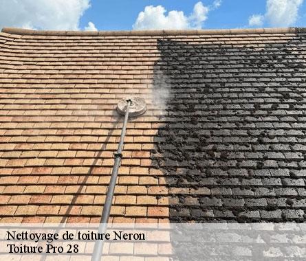 Nettoyage de toiture  neron-28210 Toiture Pro 28