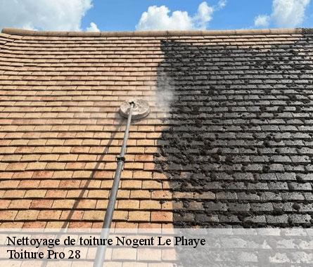 Nettoyage de toiture  nogent-le-phaye-28630 Toiture Pro 28