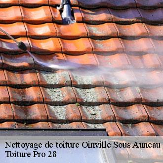 Nettoyage de toiture  oinville-sous-auneau-28700 Toiture Pro 28