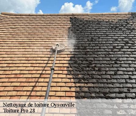 Nettoyage de toiture  oysonville-28700 Toiture Pro 28
