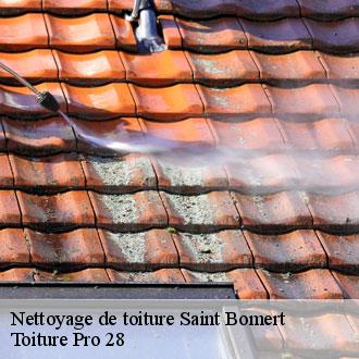 Nettoyage de toiture  saint-bomert-28330 Toiture Pro 28