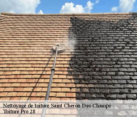 Nettoyage de toiture  saint-cheron-des-champs-28170 Toiture Pro 28