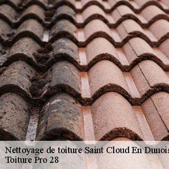 Nettoyage de toiture saint-cloud-en-dunois-28200 Toiture Pro 28