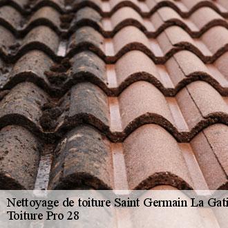 Nettoyage de toiture  saint-germain-la-gatine-28300 Toiture Pro 28