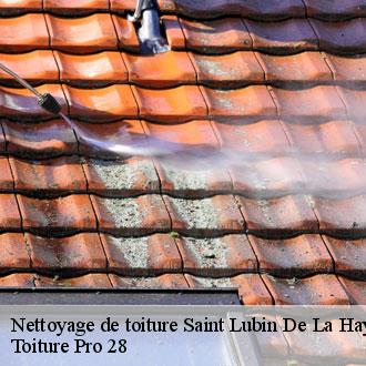 Nettoyage de toiture saint-lubin-de-la-haye-28410 Toiture Pro 28