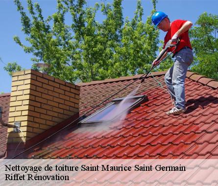 Nettoyage de toiture  saint-maurice-saint-germain-28240 Riffet Rénovation