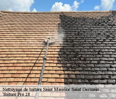 Nettoyage de toiture  saint-maurice-saint-germain-28240 Toiture Pro 28