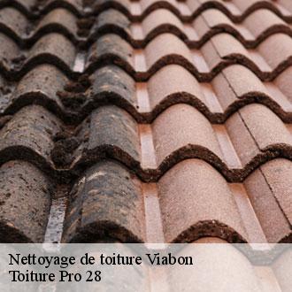 Nettoyage de toiture  viabon-28150 Toiture Pro 28