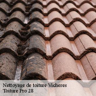 Nettoyage de toiture  vicheres-28420 Toiture Pro 28
