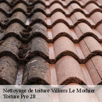 Nettoyage de toiture  villiers-le-morhier-28130 Toiture Pro 28